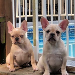 Meet your Posher, Monty